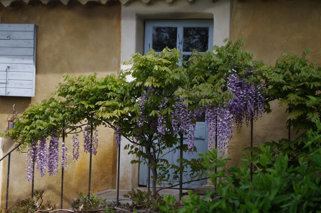 Chambre D'Hotes Au Coquin De Sort Vaison-la-Romaine Bagian luar foto